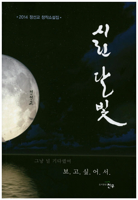 시린 달빛(문학세계대표작가선 733)
