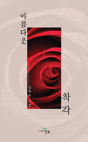 아름다운 착각(문학세계대표작가선 749)