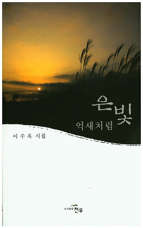 은빛 억새처럼(문학세계대표작가선 759)