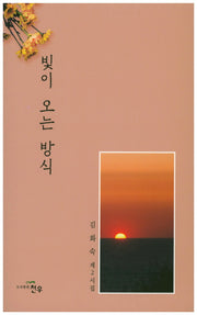 빛이 오는 방식(문학세계대표작가선 825)