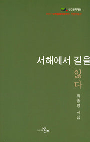 서해에서 길을 잃다(문학세계대표작가선 834)