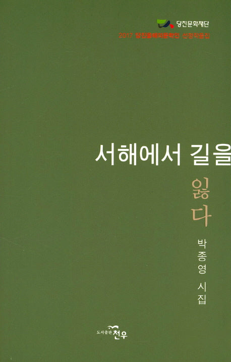 서해에서 길을 잃다(문학세계대표작가선 834)