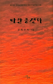 바람공쟁이(문학세계대표작가선 835)