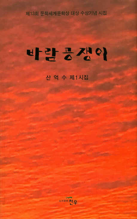 바람공쟁이(문학세계대표작가선 835)