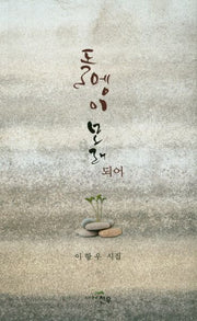 돌멩이 모래 되어(문학세계대표작가선 843)