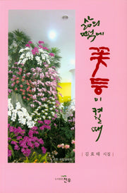삶의 언덕에 꽃등이 켜질때(문학세계대표작가선 861)