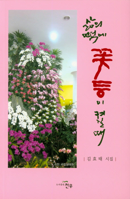 삶의 언덕에 꽃등이 켜질때(문학세계대표작가선 861)