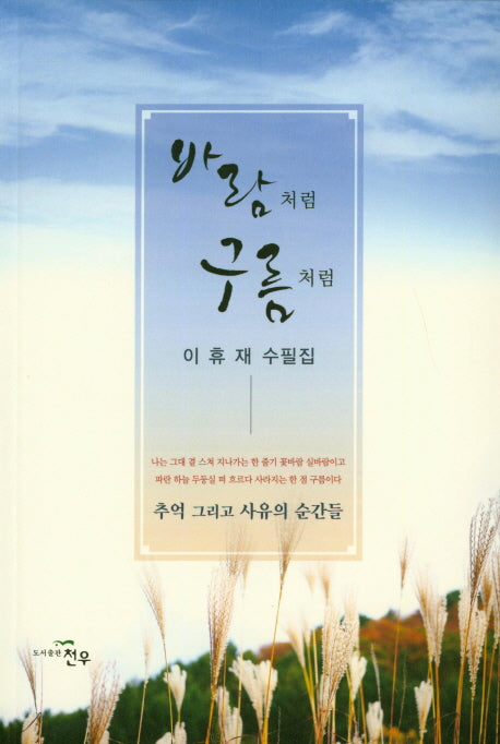 바람처럼 구름처럼(문학세계대표작가선 860)