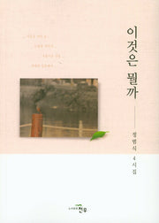 이것은 뭘까(문학세계대표작가선 865)
