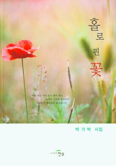 홀로 핀 꽃