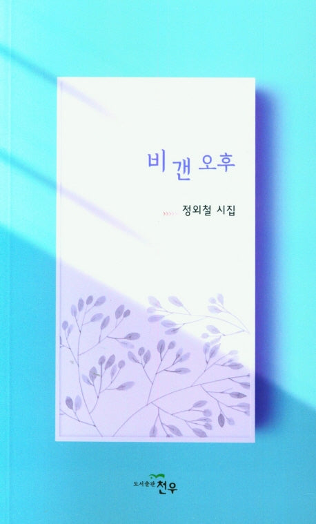 비갠오후