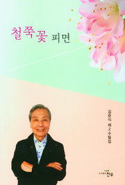 철쭉꽃 피면(문학세계대표작가선 962)
