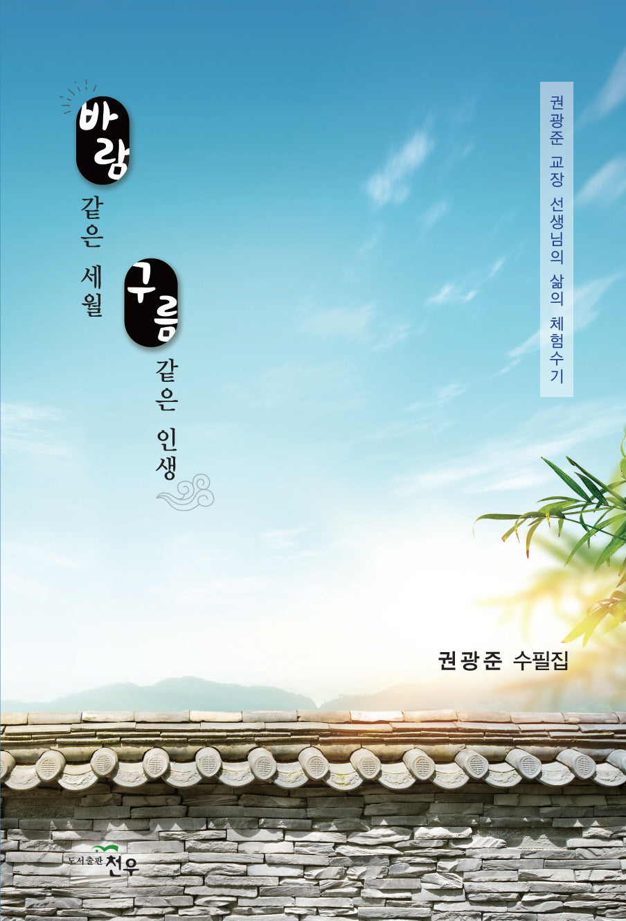 바람 같은 세월 구름 같은 인생(문학세계대표작가선 995)