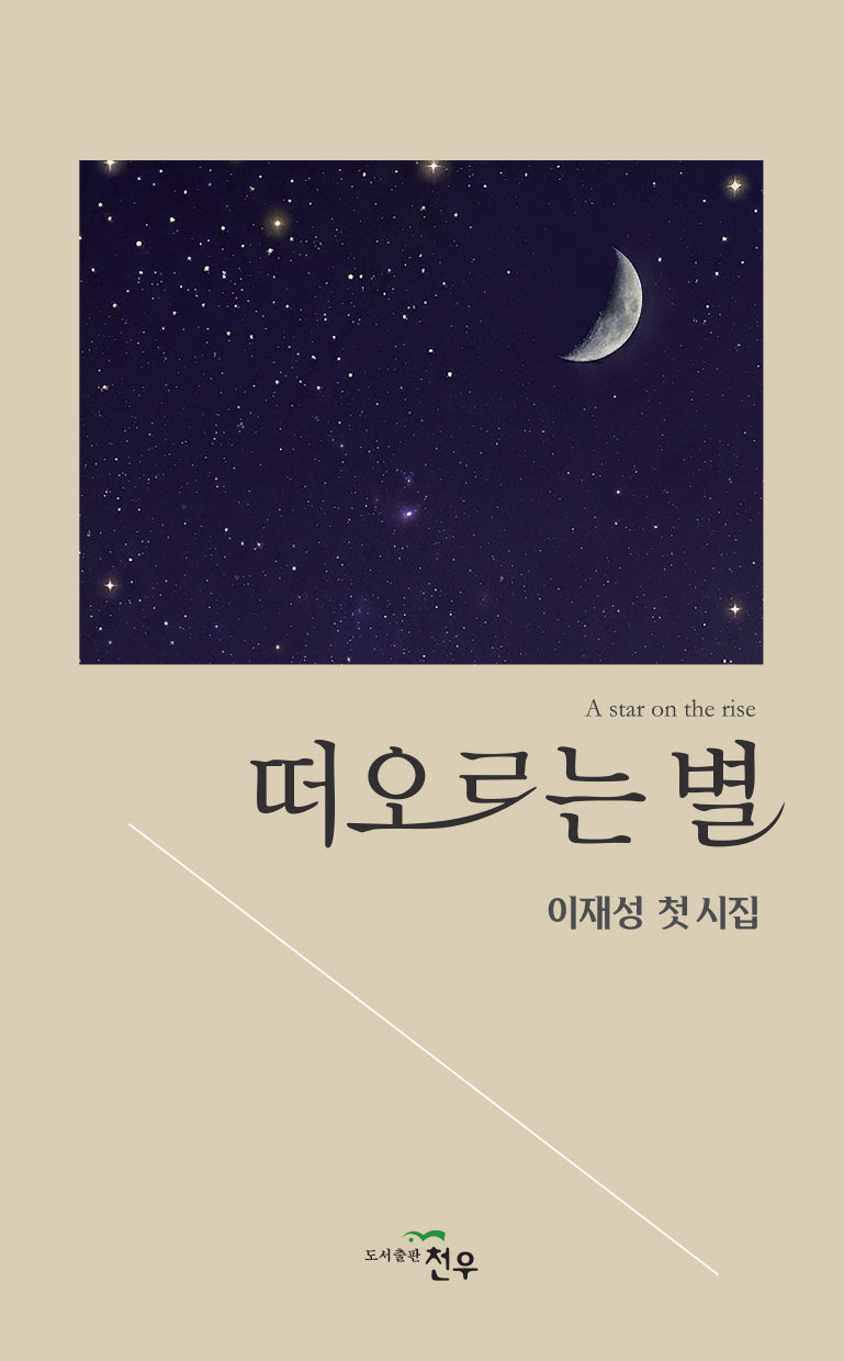 떠오르는 별(문학세계대표작가선 1076)