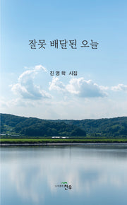 잘못 배달된 오늘(문학세계대표작가선 1081)