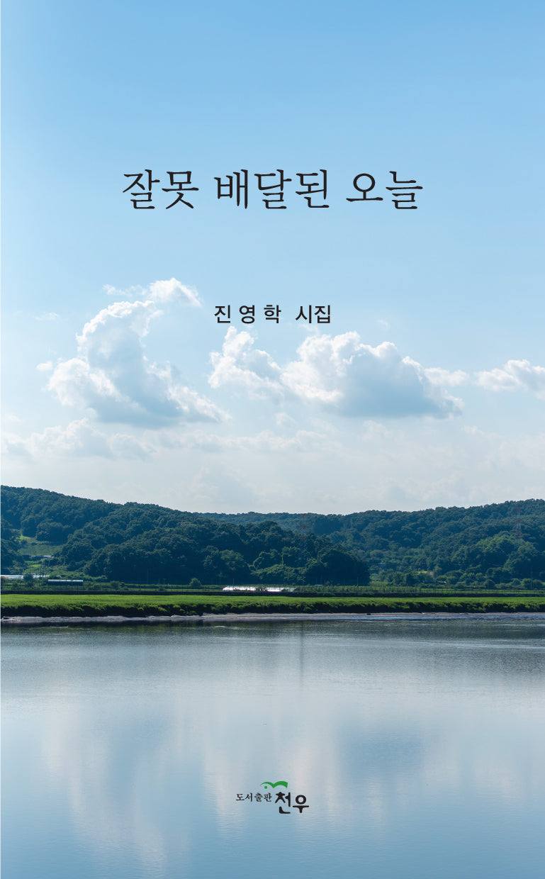 잘못 배달된 오늘(문학세계대표작가선 1081)