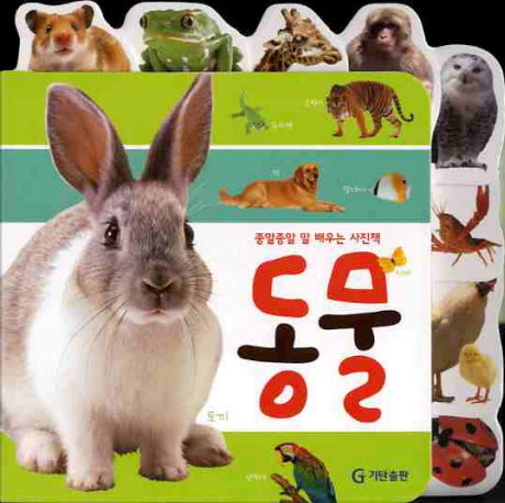 동물(종알종알 말 배우는 사진책)
