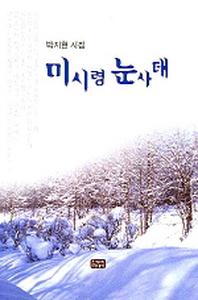 미시령 눈사태