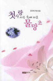 첫사랑 시루속에 키운 물망초