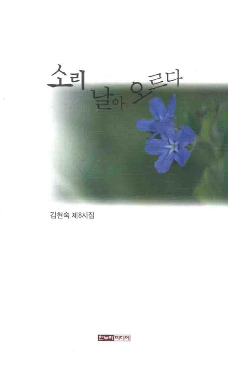 소리 날아오르다