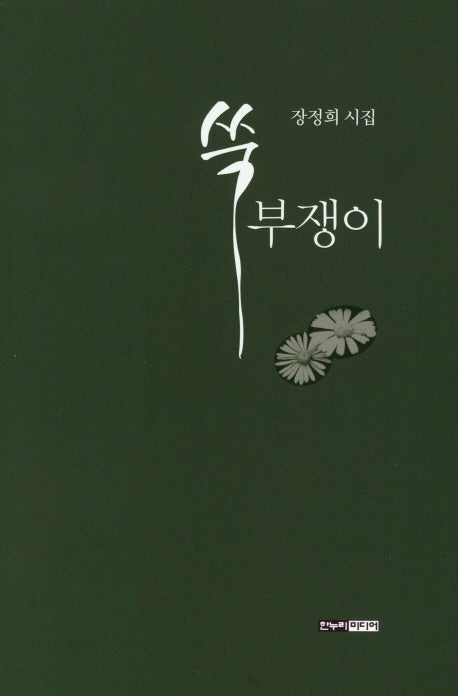 쑥부쟁이