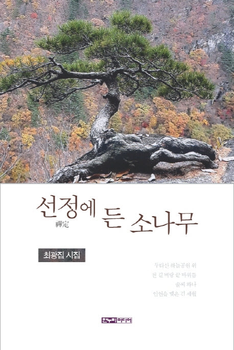 선정에 든 소나무