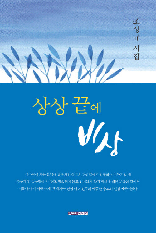 상상 끝에 비상