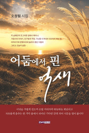 어둠에서 핀 억새