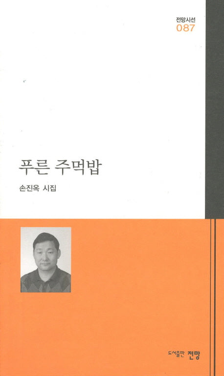 푸른 주먹밥(전망시선 87)