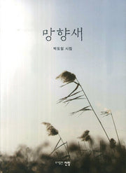 망향새