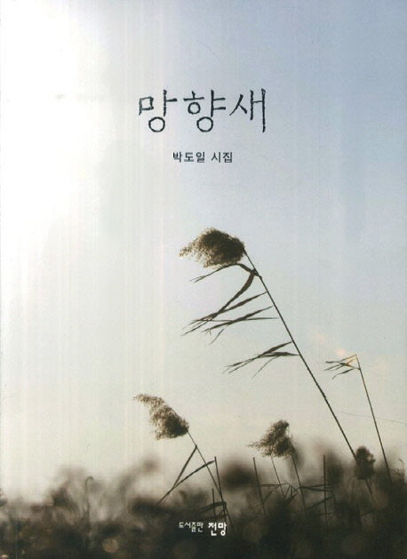 망향새