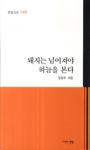 돼지는 넘어져야 하늘을 본다(전망시선 100)