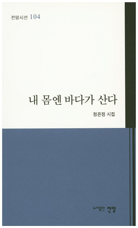 내 몸엔 바다가 산다(전망시선 104)