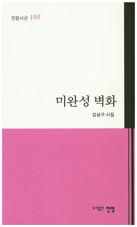 미완성 벽화(전망시선 105)