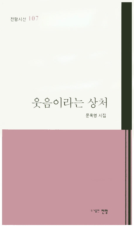 웃음이라는 상처(전망시선 107)