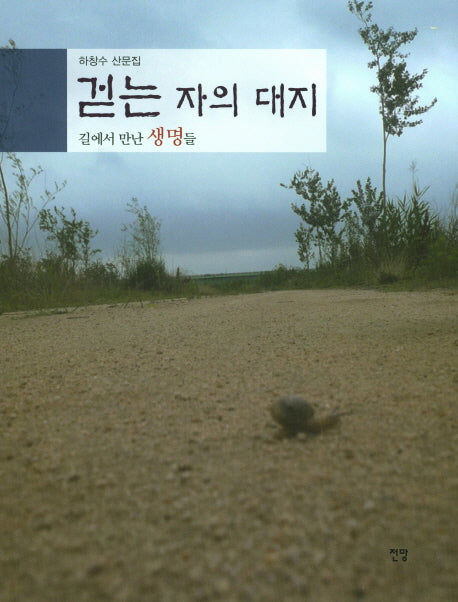 걷는 자의 대지: 길에서 만난 생명들