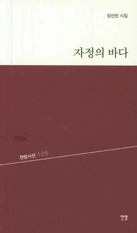 자정의 바다(전망시선 125)