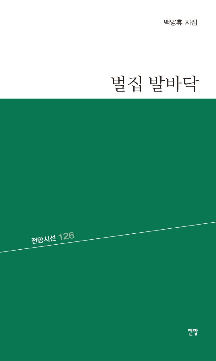 벌집 발바닥(전망시선 126)
