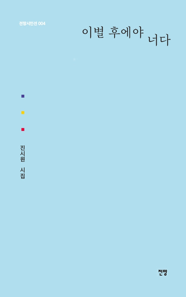 이별 후에야 너다(전망시인선 4)