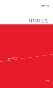 태양의 손길(전망시선 137)