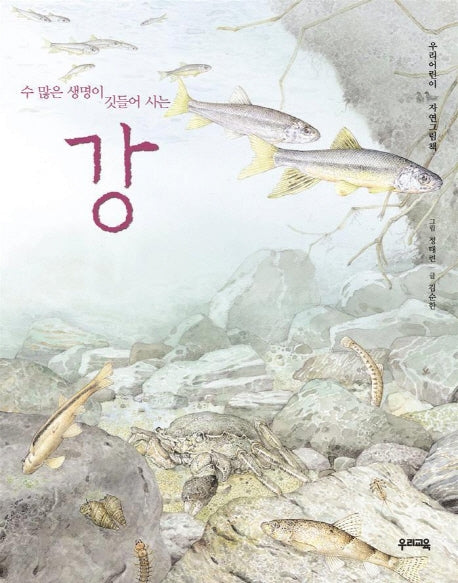 강(수많은 생명이 깃들어 사는)