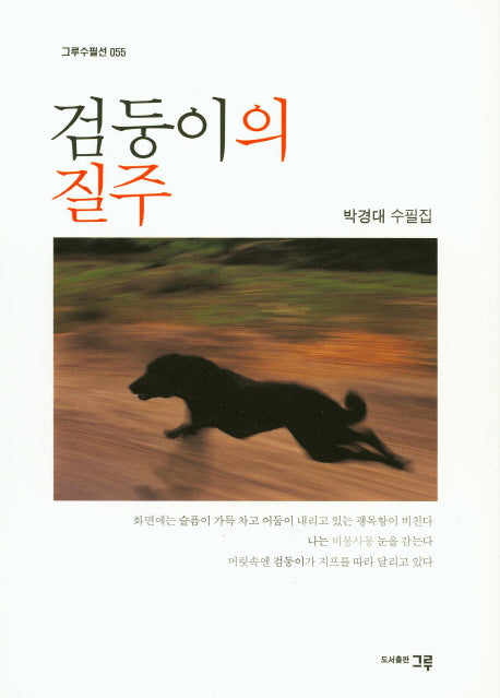 검둥이의 질주(그루수필선 55)
