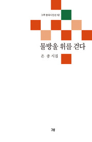 물방울 위를 걷다(그루 현대시인선 12)