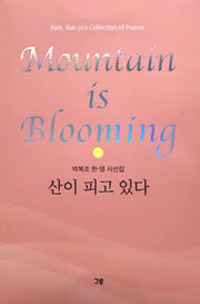 산이 피고 있다