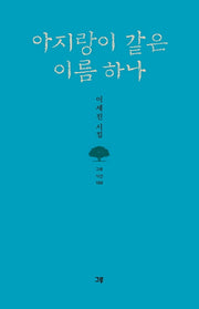 아지랑이 같은 이름 하나(그루시선 103)