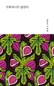 무화과나무 닮았다(양장본 Hardcover)