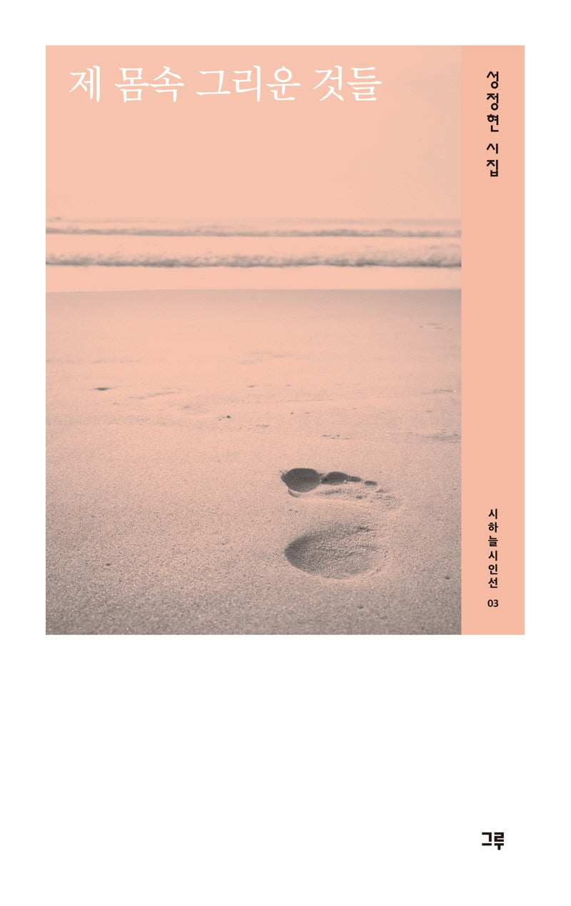 제 몸속 그리운 것들(시하늘시인선 3)