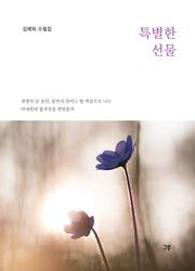 특별한 선물