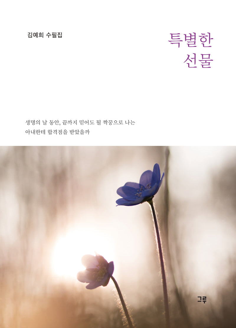 특별한 선물