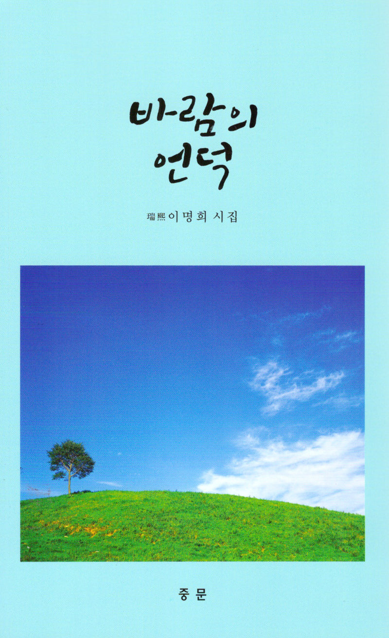 바람의 언덕